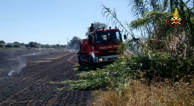 Due ettari e mezzo di sterpaglie e stoppie in fiamme a Campocavallo