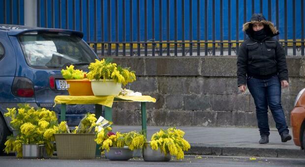 Napoli, 8 marzo, contrasto alla vendita abusiva di fiori sul territorio cittadino