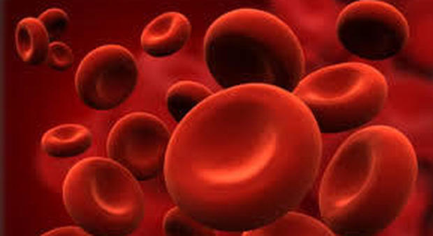 La scoperta di Cnr di Pozzuoli e Ceinge di Napoli: globuli rossi come lente di ingrandimento per scoprire anemie