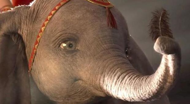 Tim Burton: «Dumbo mi somiglia: vince con i suoi difetti»
