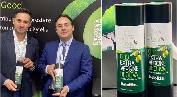 Con Deloitte nasce il giardino degli ulivi nel Salento e investe in Puglia: 2mila assunzioni in quattro anni. Ecco dove