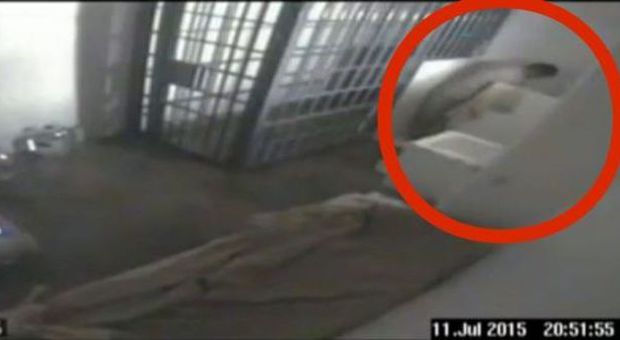 'El Chapo' Guzman, ecco le immagini della fuga dal carcere del boss della droga