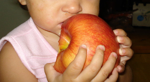 Ingoia un pezzo di mela, rischia di soffocare: a 3 anni è in fin di vita