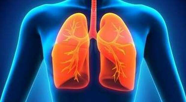 Tumore al polmone, anticorpo monoclonale rivoluzionario. «Sopravvivenza aumenta del 42,9%»