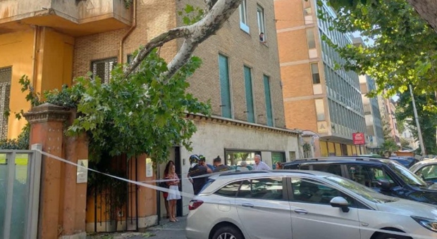Roma, ramo si spezza e cade davanti all'ingresso di un condominio