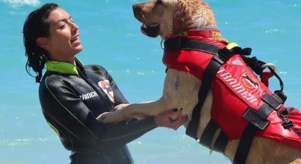 Cani di salvataggio, si torna a scuola. Aprono due nuove sedi Sics in Puglia e nelle Marche