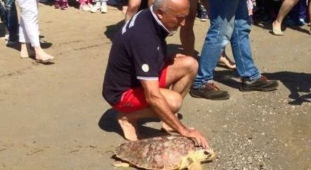 San Benedetto, liberata Nik la tartaruga curata dall’Università di Camerino