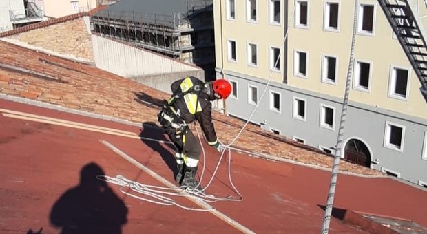 Trieste. Bora a 120 km/h: super lavoro per i vigili del fuoco, oltre 70 interventi