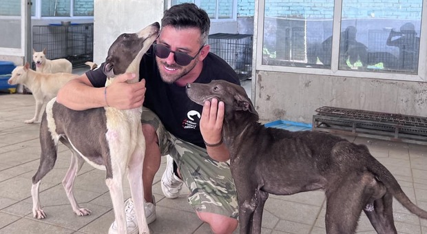 Davide Acito, l'italiano che va in Cina per liberare cani e gatti dal macello: «Stipati in attesa di essere uccisi»