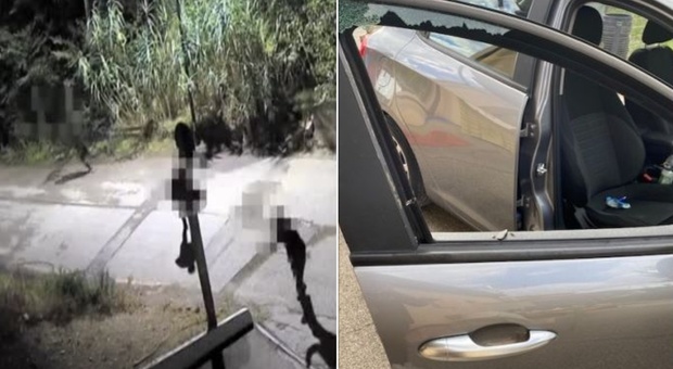 Coppia aggredita a colpi di ascia nel parcheggio, fermato un marocchino