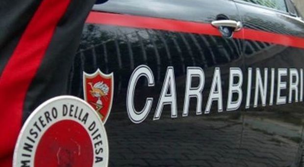 Carabinieri, il bilancio: calano i reati ma aumentano truffe e frodi