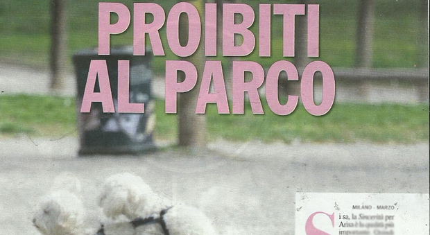 immagine Arisa nel parco con i cani nel passeggino (Chi)