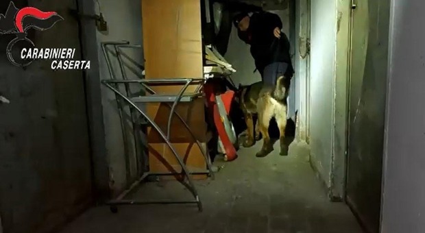 Carabinieri a Marcianise con cani antidroga