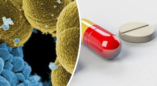 Antibiotici, l'allarme dell'Oms: "Batteri sempre più resistenti, boom di casi nel mondo"