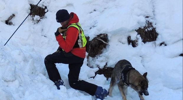 Un uomo del Soccorso alpino con il suo cane da valanga