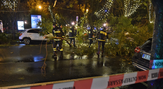 Tempesta di Santa Lucia a Salerno: cadono alberi tra le luci d'artista, due feriti
