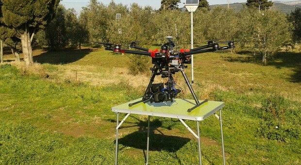 Terreno, colture e insetti: arrivano i droni per controllare le campagne pugliesi