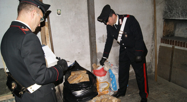 Napoli, task force contro il pane abusivo: denunciati 22 fornai