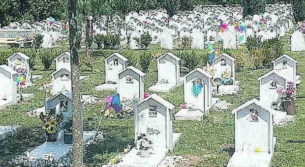 Gli animali sepolti nell'immondizia o trovano pace solo nei cimiteri privati