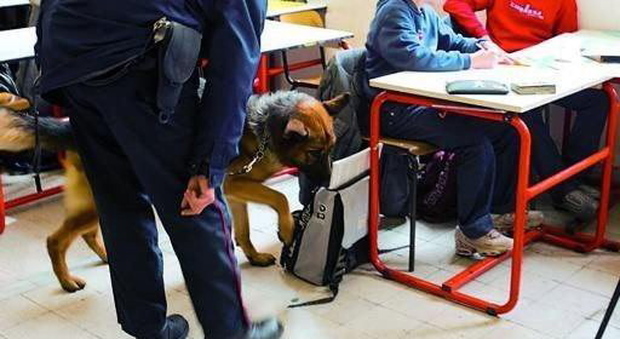 Cane antidroga a scuola