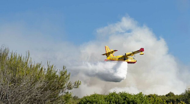 Incendio distrugge bosco e macchia mediterranea: sul posto mezzi aerei