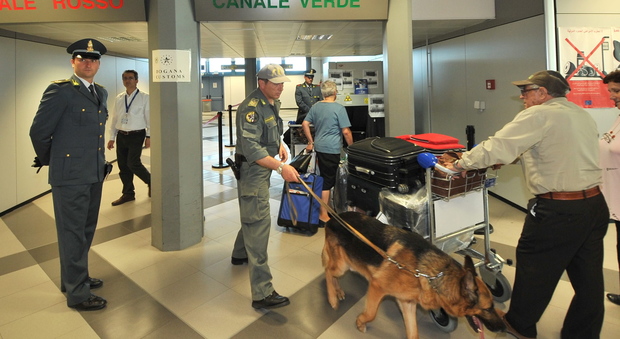 Bloccato in aeroporto e multato: stava portando un corallo protetto