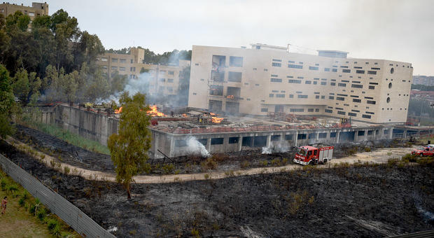 Incendio nell'area della Cittadella giudiziaria, paura tra la gente: "Il fuoco minaccia le case"