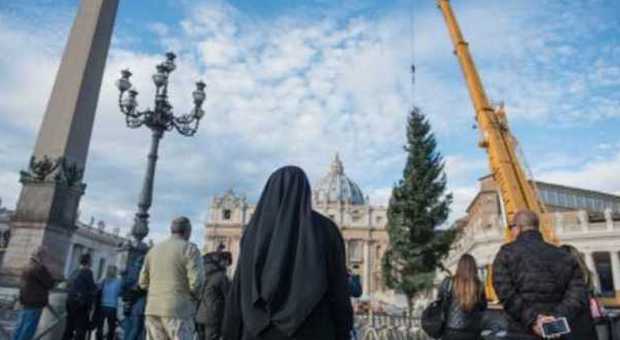 Vaticano, l'abete di Natale del Papa arrivato in piazza San Pietro