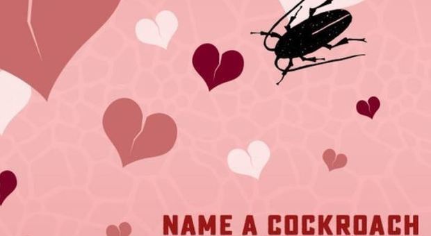 San Valentino, ricorda il tuo ex: dai il nome a uno scarafaggio e fallo mangiare dagli animali dello zoo