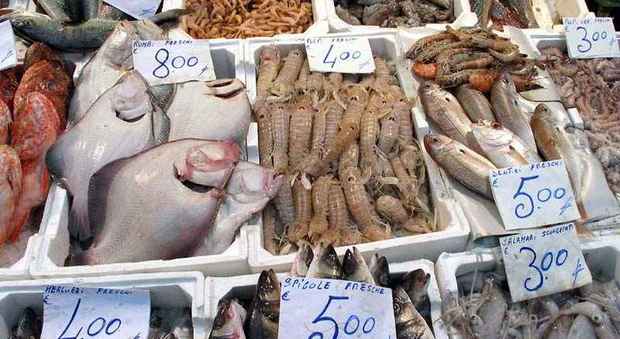 Pesce al mercato Esquilino