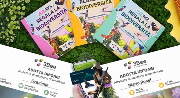 Regala la Biodiversità: l’iniziativa di 3Bee per supportare la creazione di Oasi di Biodiversità attraverso opzioni regalo sostenibili