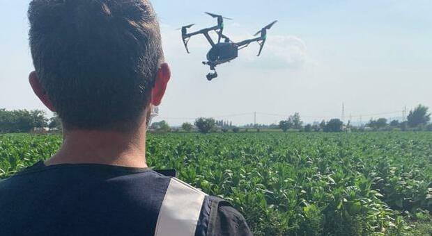 Terra dei fuochi, controlli con i droni a camera termica a Marigliano: multe e denunce