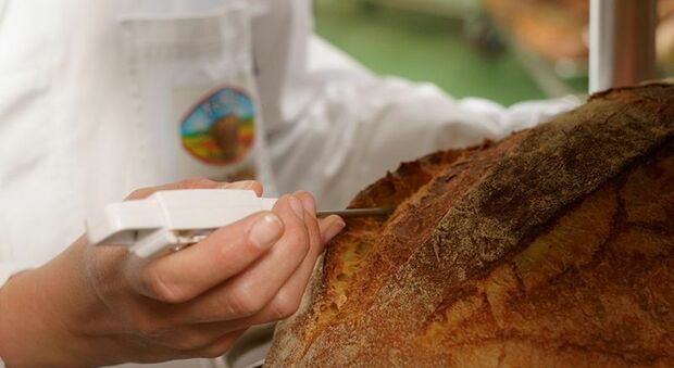 Cibus, è pugliese il primo pane fresco con filiera sostenibile certificata e arriva da Altamura