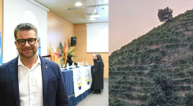 VIDOR La collina da cui sono stati rimossi i pannelli dopo le aspre opolemiche e il sindaco di Tarzo Gianangelo Bof