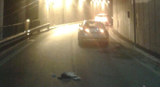 Roma, si getta dal viadotto di Corso Italia: giovane travolto dalle auto, è grave