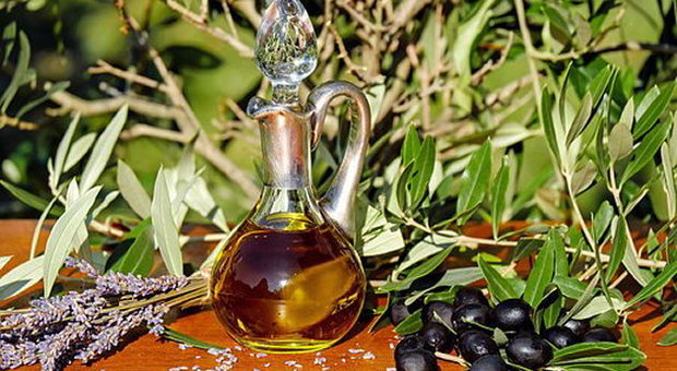 Olio extra vergine d'oliva, consegnati i diplomi di assaggiatori a 15 non vedenti