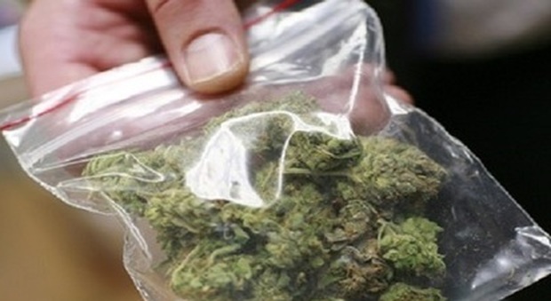 Cocaina e marijuana per 45mila euro in casa: arrestato 37enne