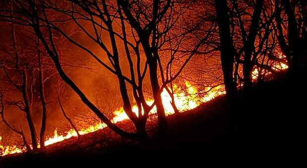 Bosco della Carnia in fiamme