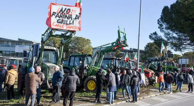 Gli agricoltori in marcia a Piediripa: «Vogliamo spiegazioni da Acquaroli»