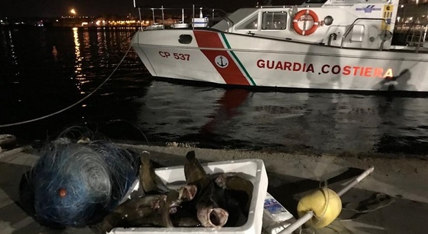 Pesca abusiva: sequestri e controlli, sanzioni per 25mila euro