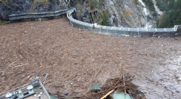 Quei tronchi ammassati nella diga del Comelico: un pericolo