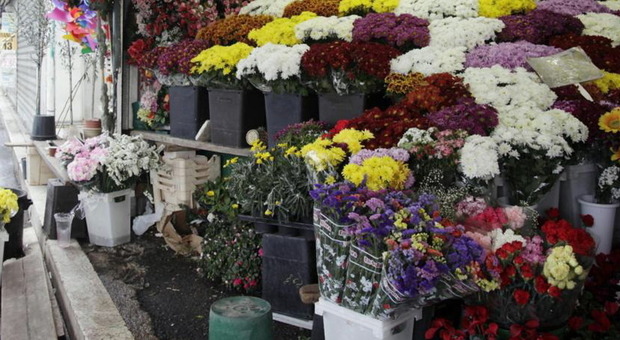Roma, rimossi due chioschi abusivi di fiori al cimitero Flaminio