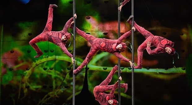 La magia del Cirque du Soleil con i suoi incredibili performer dal 26 al 29 ottobre alla Vitrifrigo Arena di Pesaro