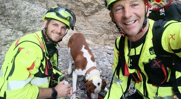 Cane da caccia rimane bloccato per quattro giorni in una gola di montagna: il recupero