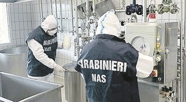 Pesaro, maxi inchiesta sul latte adulterato, primi riscontri: carica batterica sopra la norma