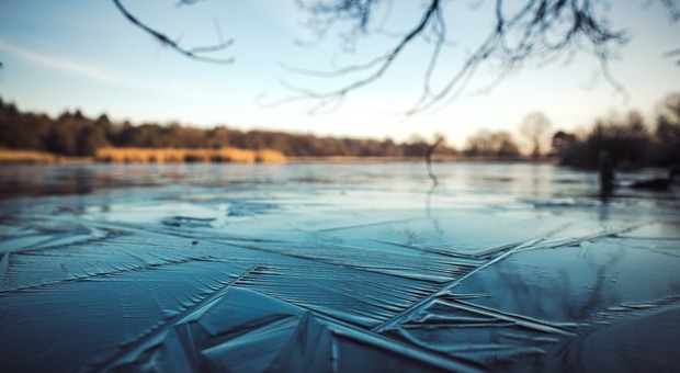 Trento. Il ghiaccio del laghetto si spezza sotto i suoi piedi - Foto di Matthias Groeneveld da Pixabay