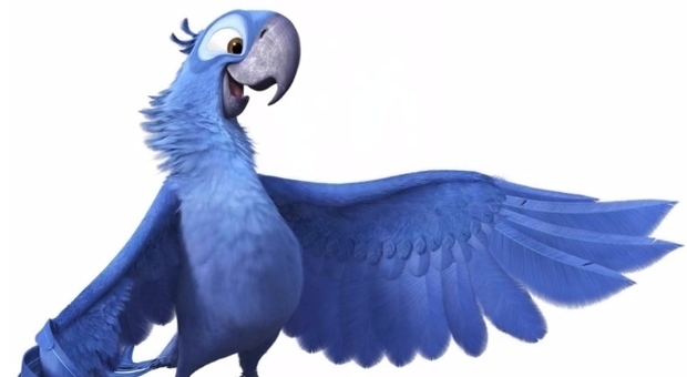Estinto in natura il pappagallo blu di "Rio", addio all'ara di Spix