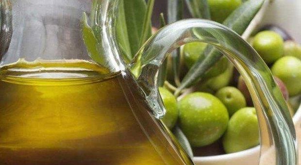 Centro Studi Confagricoltura, previsioni su produzione italiana di olive e olio