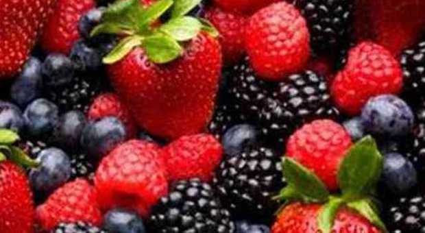 Rischio epatite, il Ministero: i frutti di bosco surgelati vanno cotti per 2 minuti