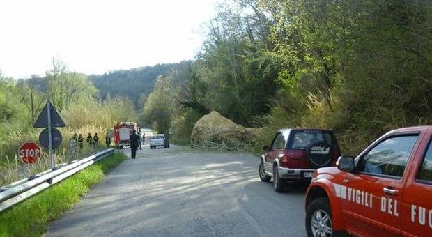 Torri in Sabina, grosso masso precipita sulla provinciale 52: tragedia sfiorata Allarme dato da un dipendente Telecom
